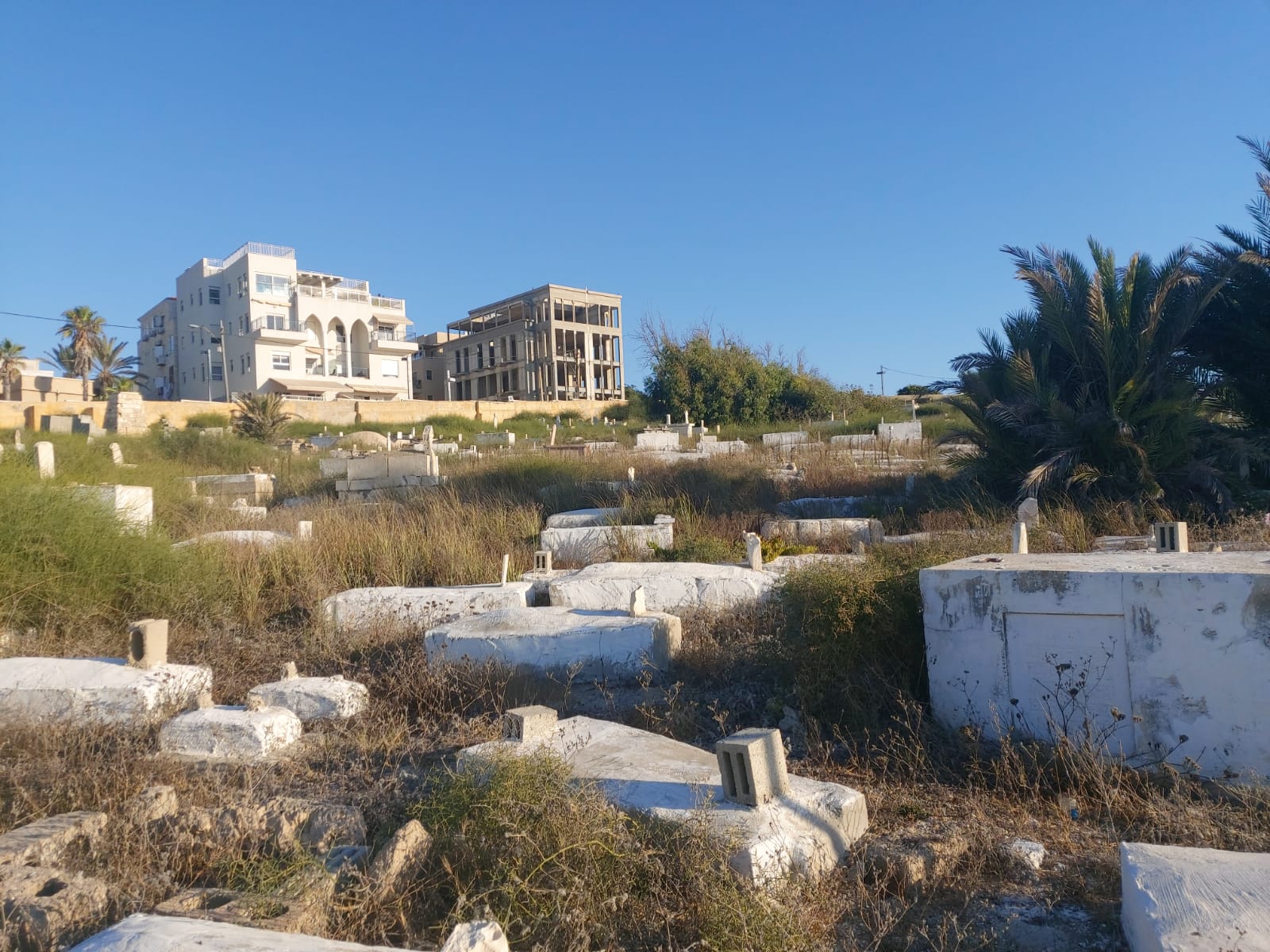 WhatsApp Image 2020-08-17 at 7.30.14 PM (1).jpeg.jpeg